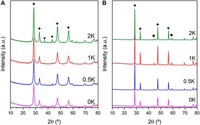 K-Promoted Ni-Based Catalysts for Gas-Phase CO2 Conversion: Catalysts Design and Process Modelling Validation